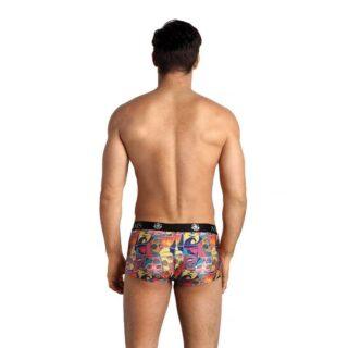 ANAIS-MEN-BOXER-BRIEF-1