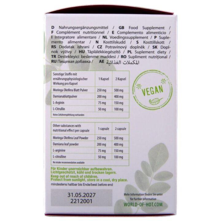 HOT - MORINGA BONÉS DE FEMININOS 60 UNIDADES